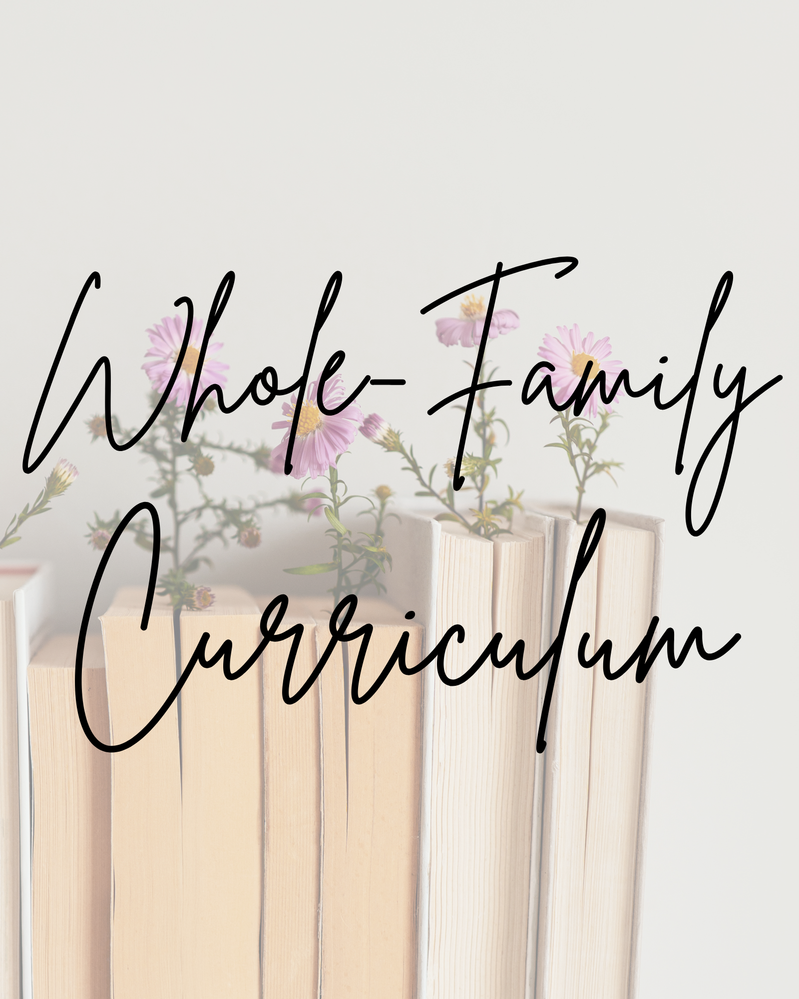 Whole Family Curriculum at Celebrating the Bible