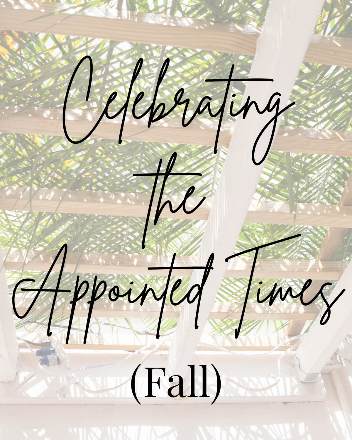 Appointed Times Products at Celebrating the Bible