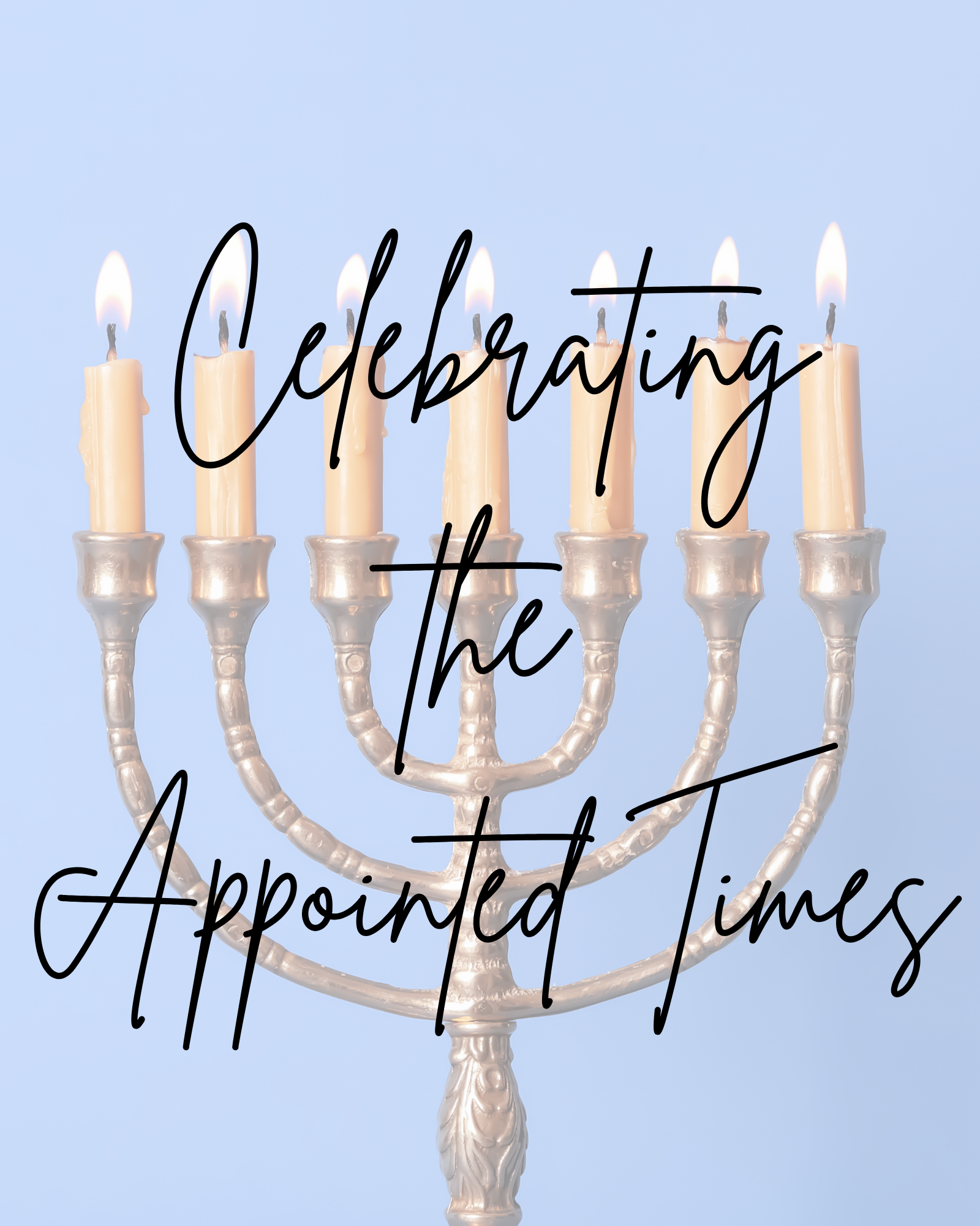 Appointed Times Products at Celebrating the Bible
