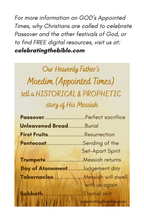 Does Easter Contain the Sign of Jonah Mini Book Ministry Set (5 pack)