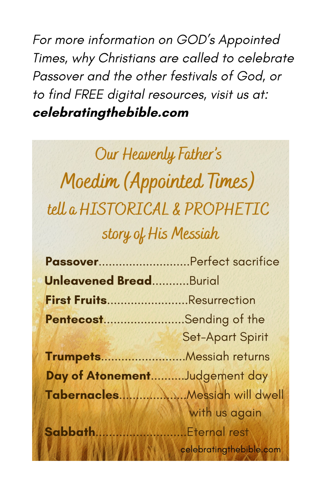 Does Easter Contain the Sign of Jonah Mini Book Ministry Set (5 pack)