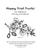 Whole Family Messianic First Fruits/Bikkurim Haggadah