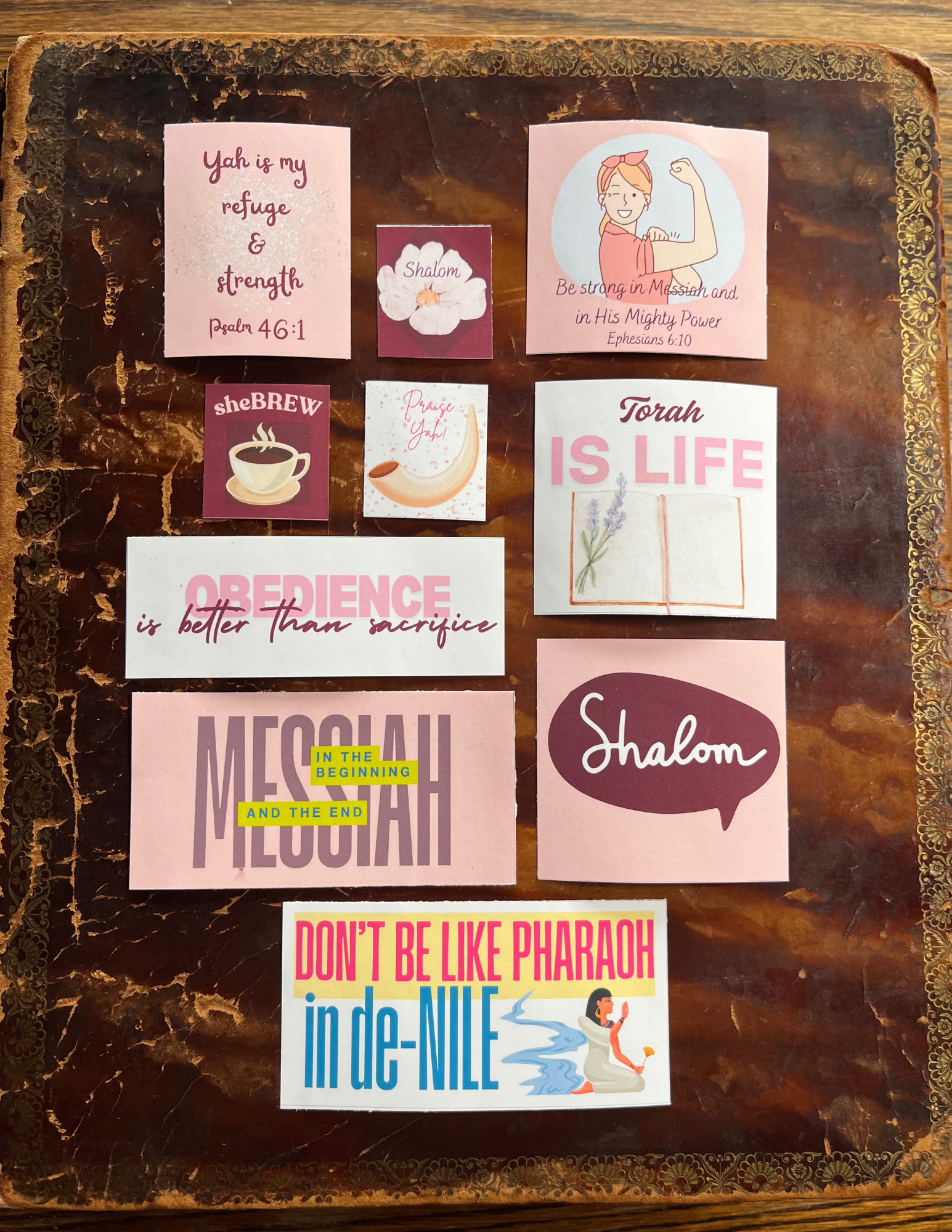 "Torah Is Life" Pink Vinyl Stickers 20ct