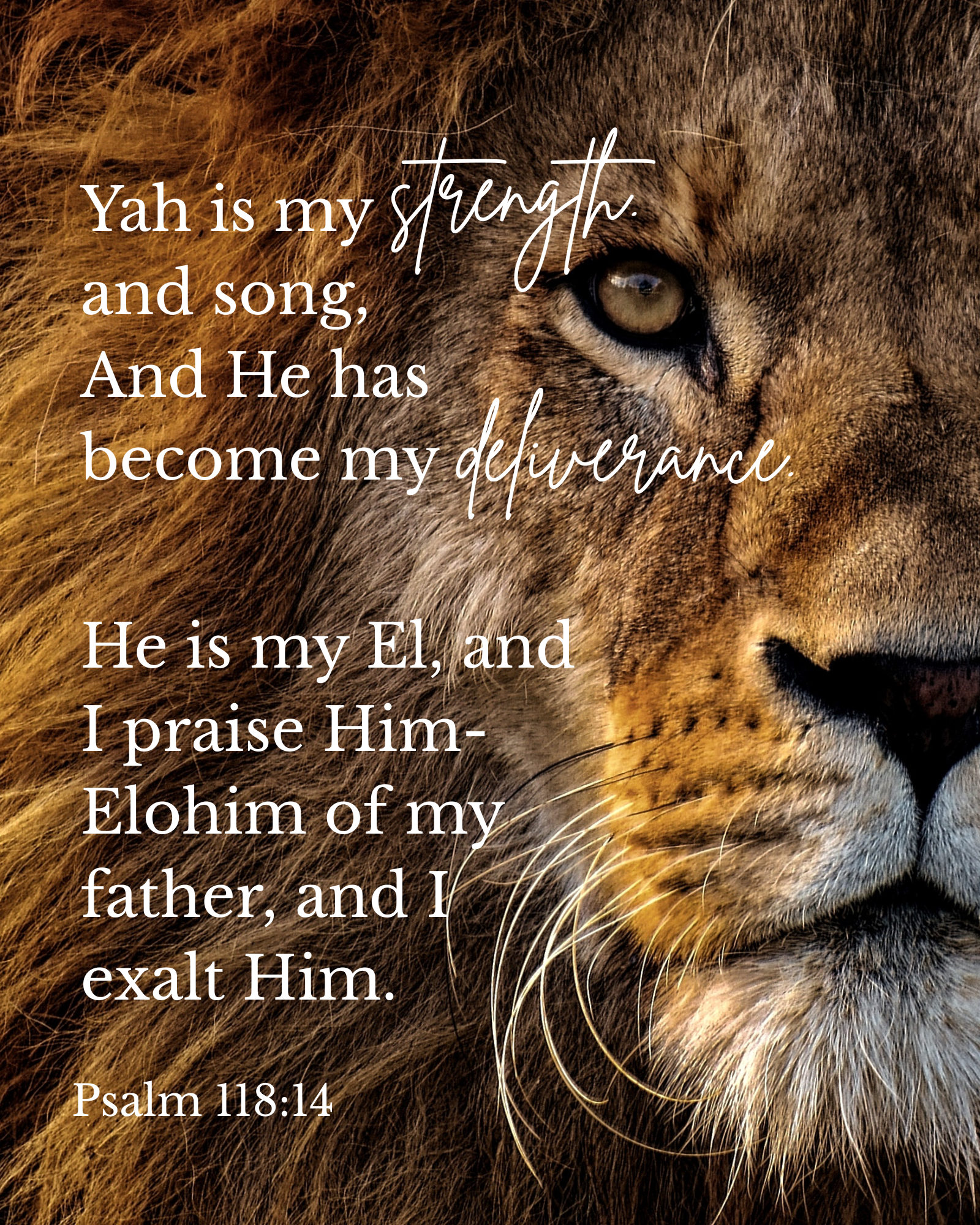 “Yah Is My Strength” Fine Art Print