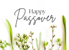 Passover Greeting Celebration Cards and Envelopes (12 count)