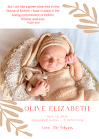 Neutral Branch Baby Announcement 5x7 Celebration Cards and Envelopes