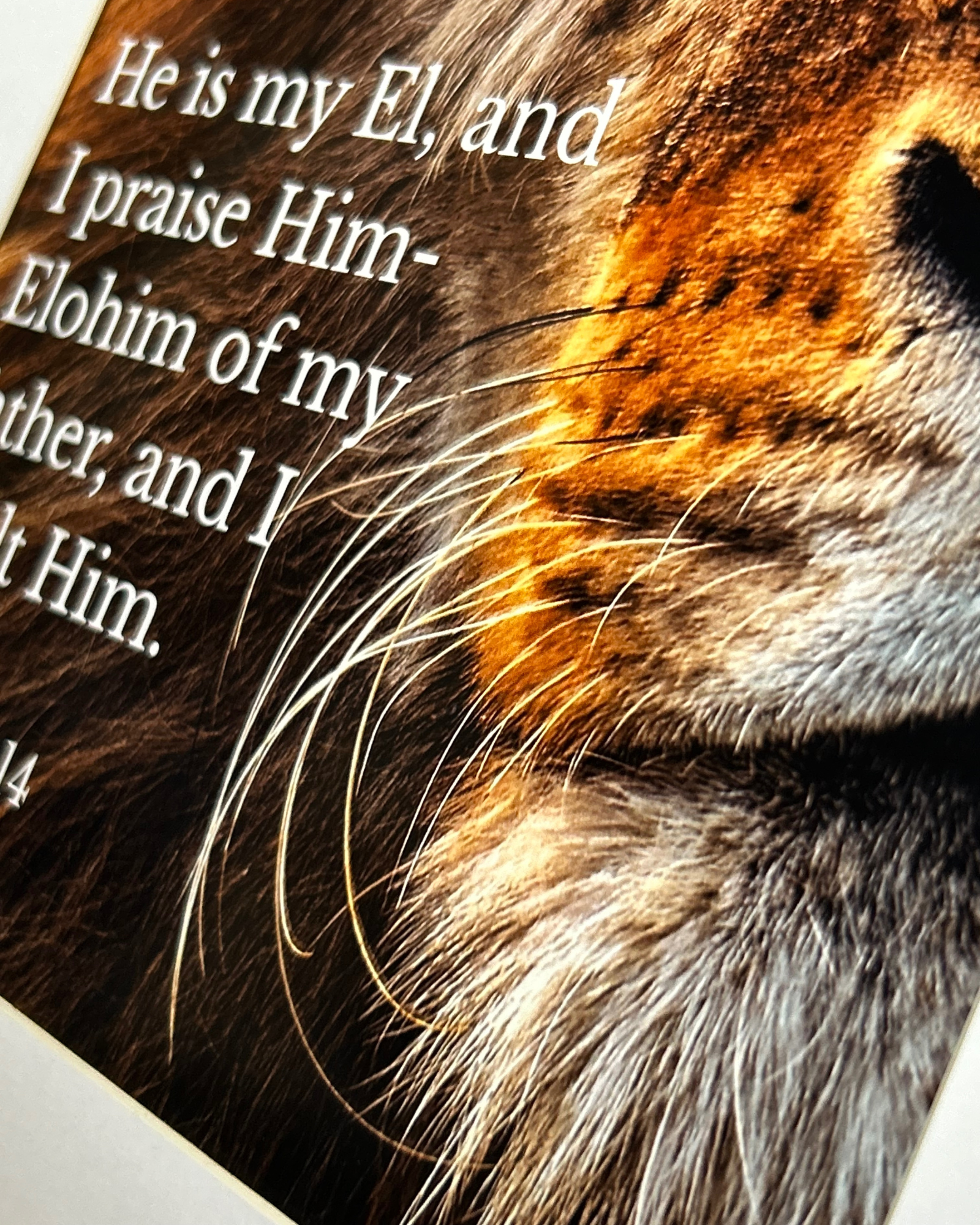 “Yah Is My Strength” Fine Art Print