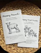 Whole Family Messianic First Fruits/Bikkurim Haggadah