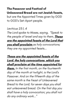 Does Easter Contain the Sign of Jonah Mini Book Ministry Set (5 pack)