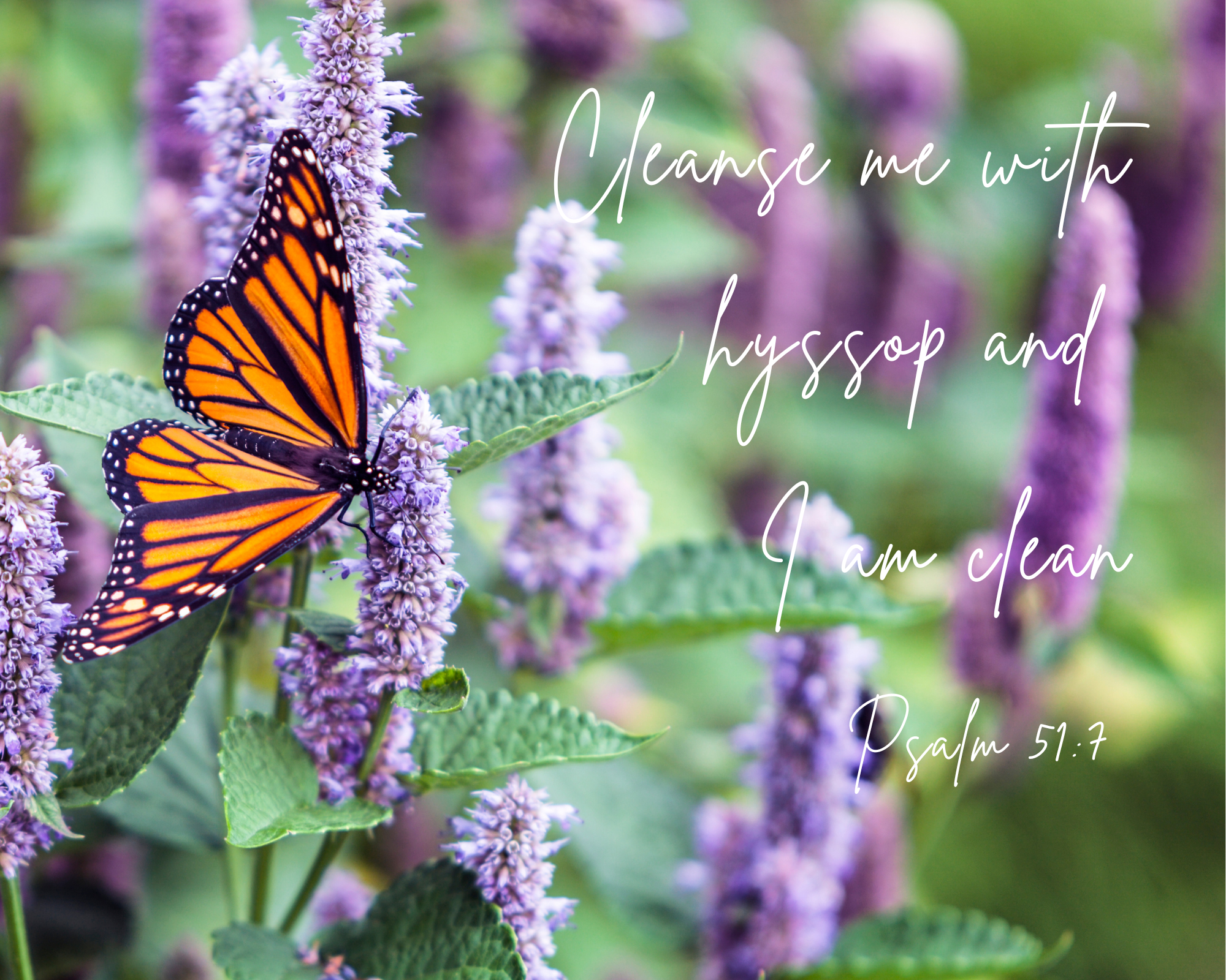 "Messiah Is Our Passover Lamb" 8x10 Fine Art Prints