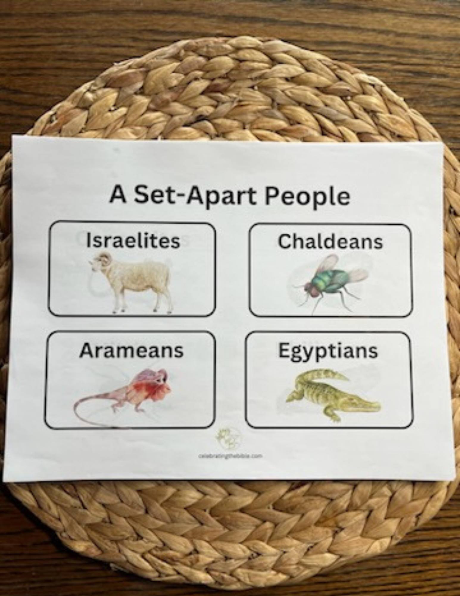 Whole Family Messianic Passover Curriculum