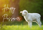 Passover Greeting Celebration Cards and Envelopes (12 count)