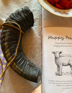 Whole Family Messianic Passover/Pesach Haggadah