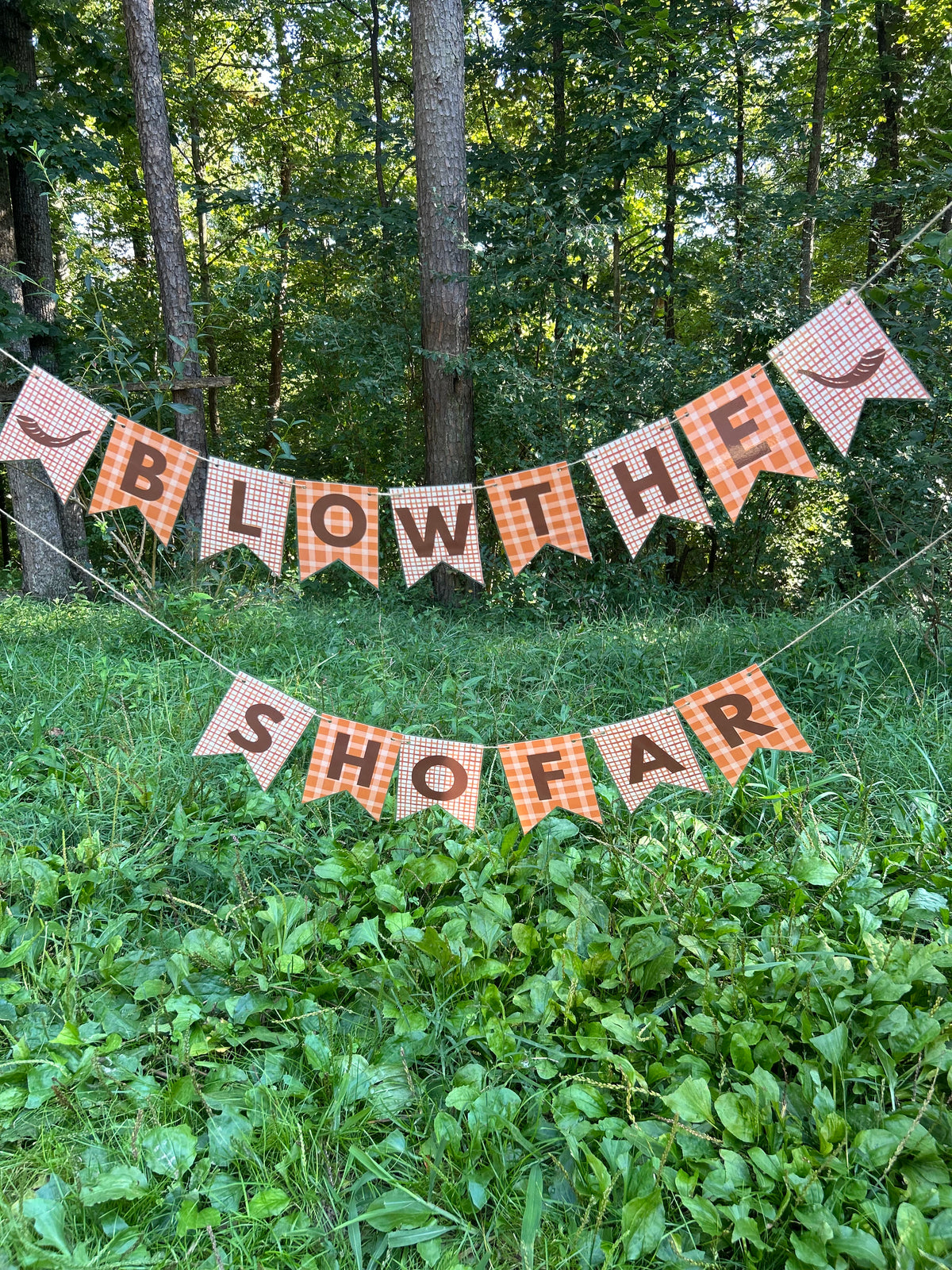 "Blow the Shofar" Orange Plaid Bunting Banner