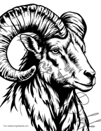 The King is Coming: Yom Teruah (Feast of Trumpets) Mini Curriculum