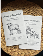 Whole Family Messianic Passover/Pesach Haggadah