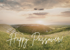 Passover Greeting Celebration Cards and Envelopes (12 count)