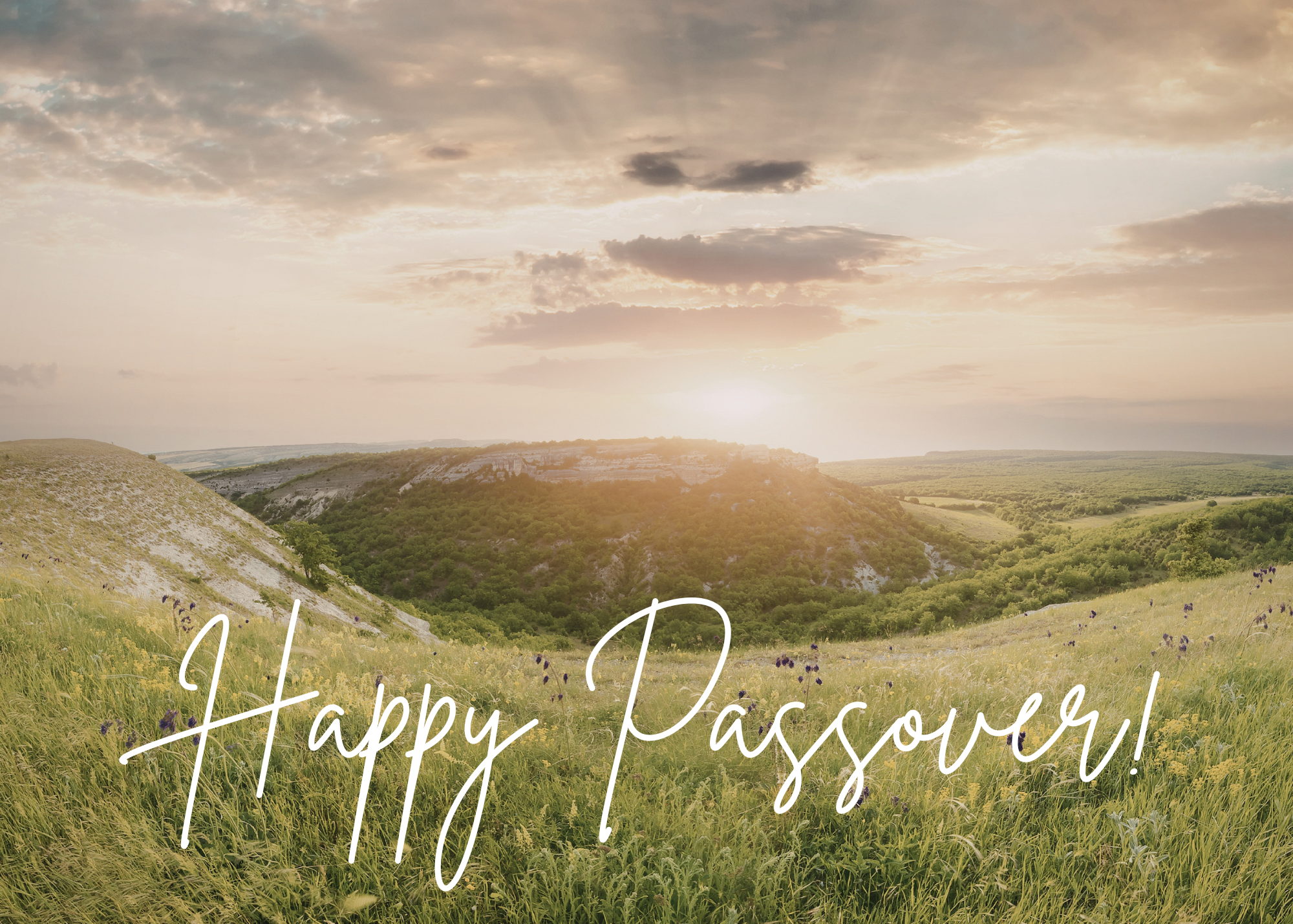 Passover Greeting Celebration Cards and Envelopes (12 count)