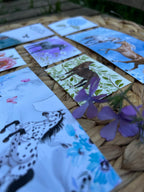 "Horses of Courage" Women In Scripture Bundle with Stickers