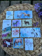 "Horses of Courage" Women In Scripture Bundle with Stickers