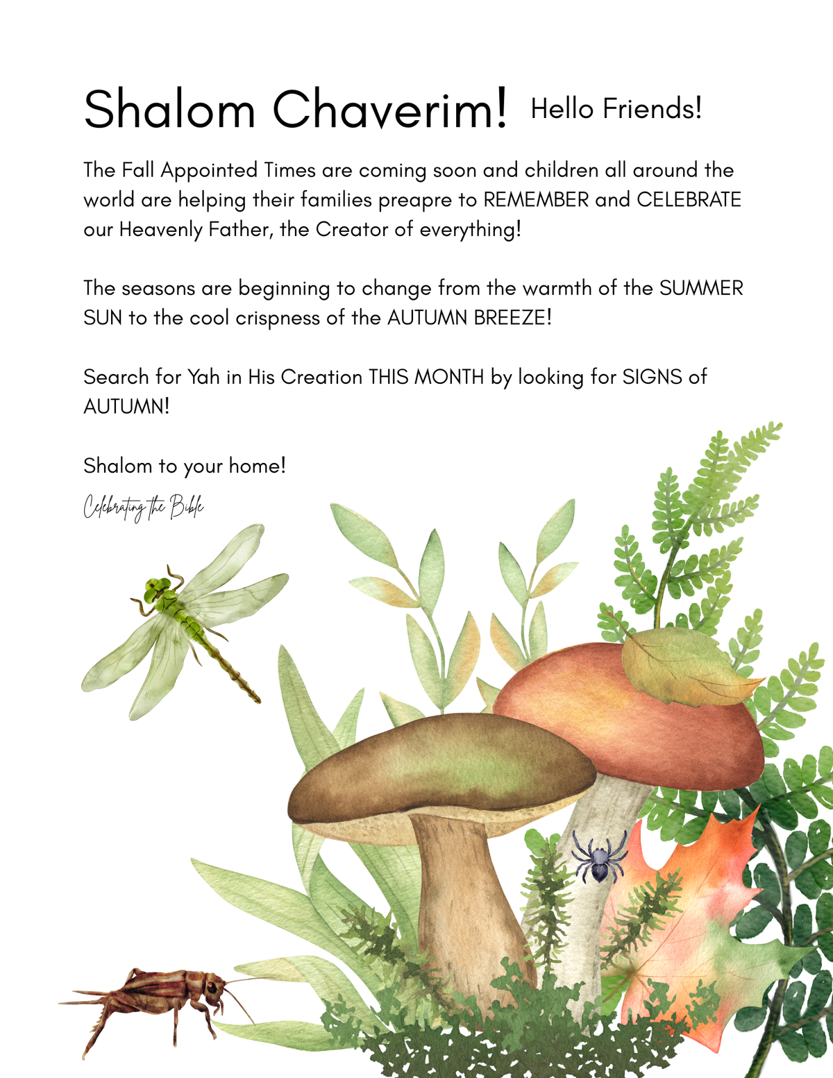 Keshet (Rainbow) KR-01 August 2026 (Single Issue) A Torah Magazine for Children