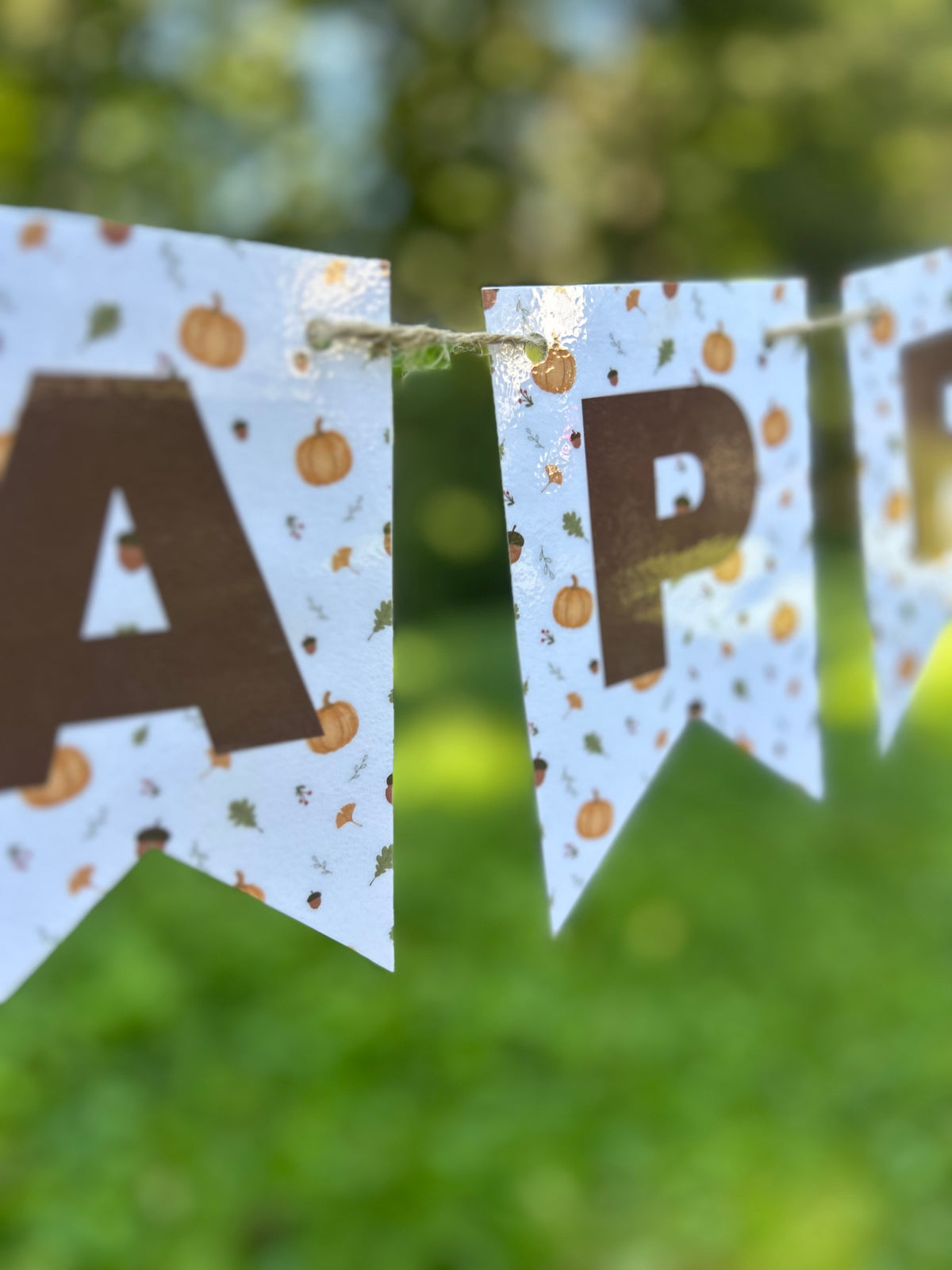 "Happy Sukkot" Classic Pumpkins Bunting Banner
