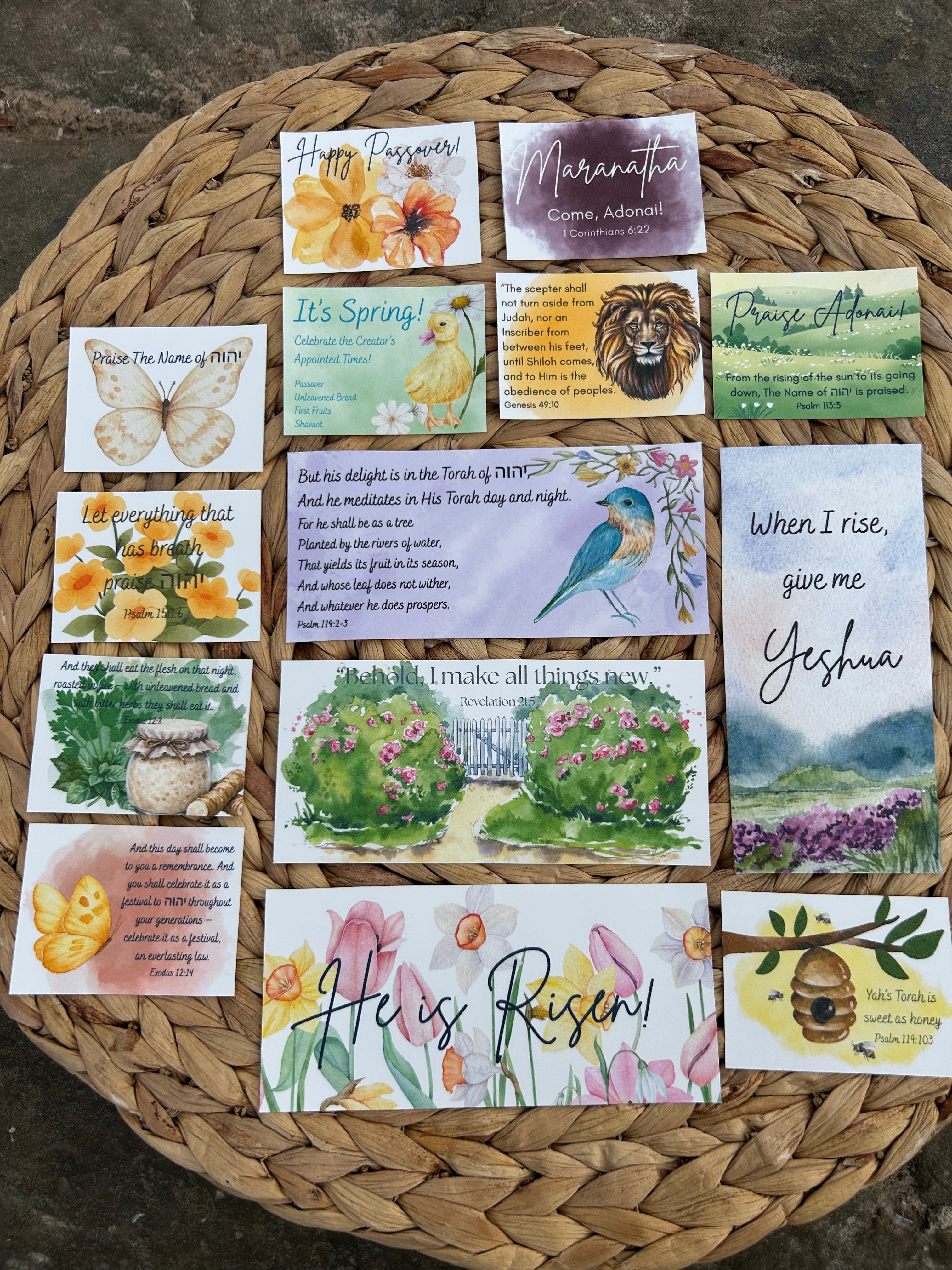 Celebrate Passover Bundle "Passover Lamb"