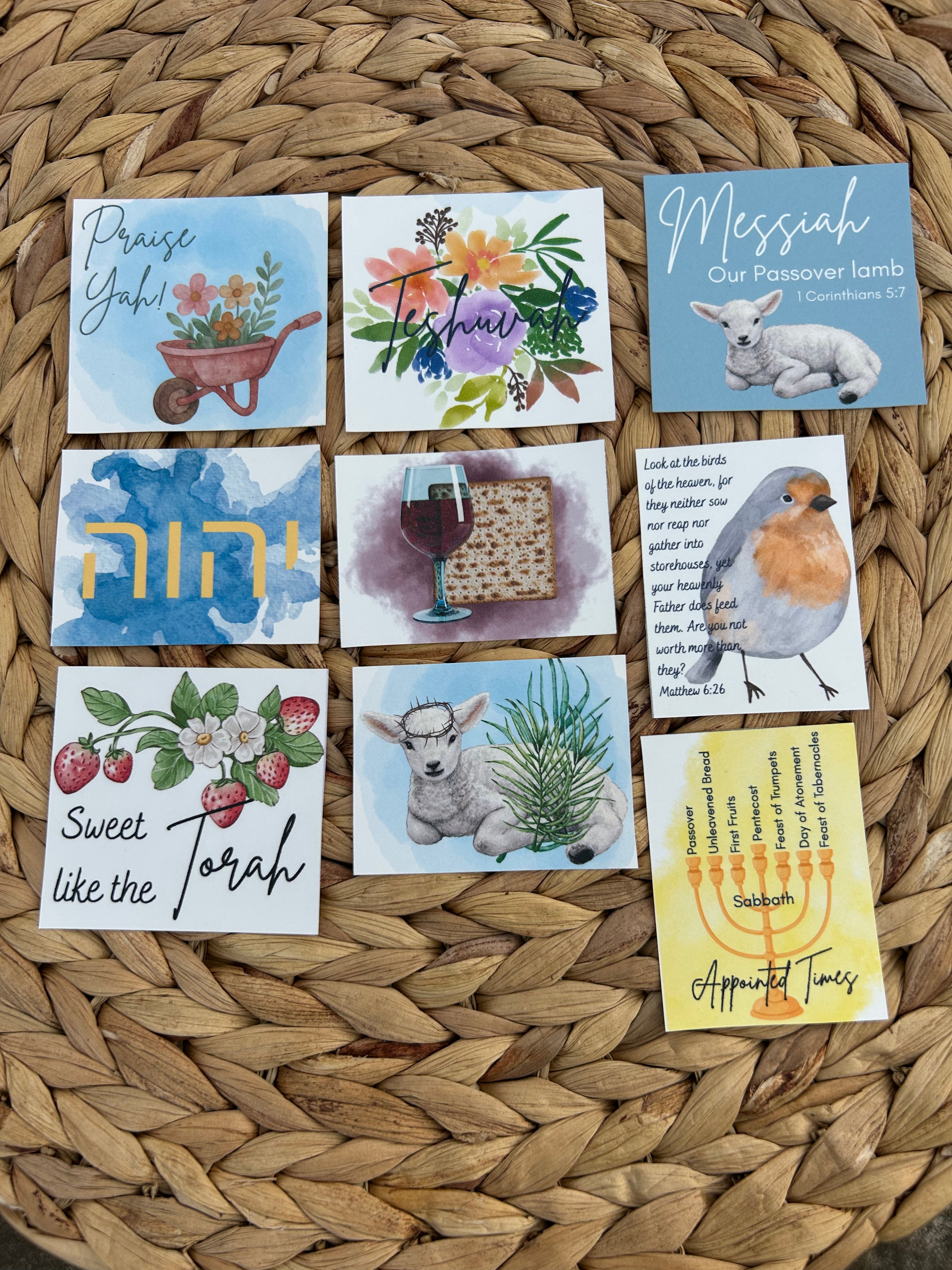 Celebrate Passover Bundle "Passover Lamb"