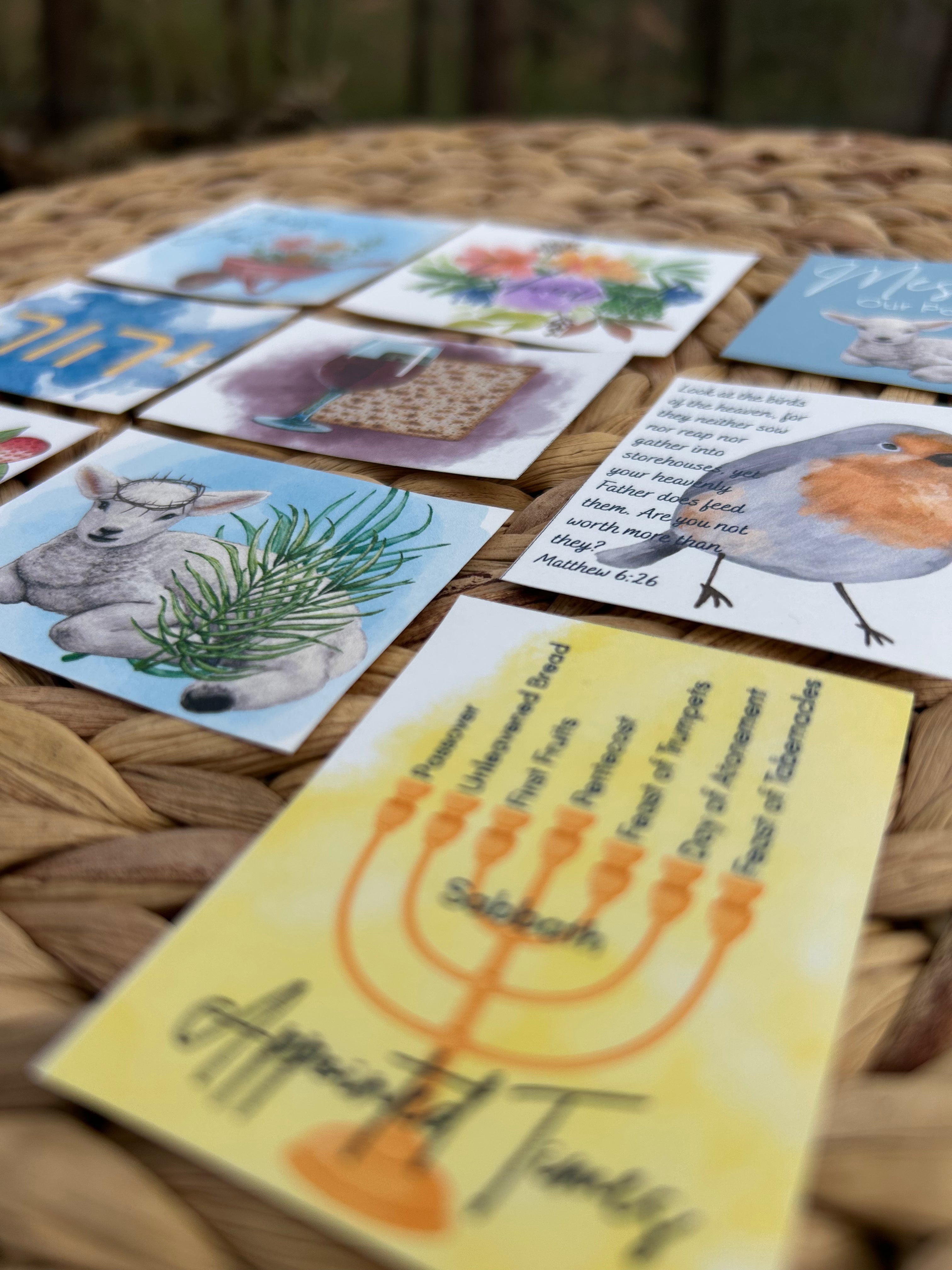 Celebrate Passover Bundle "Passover Lamb"