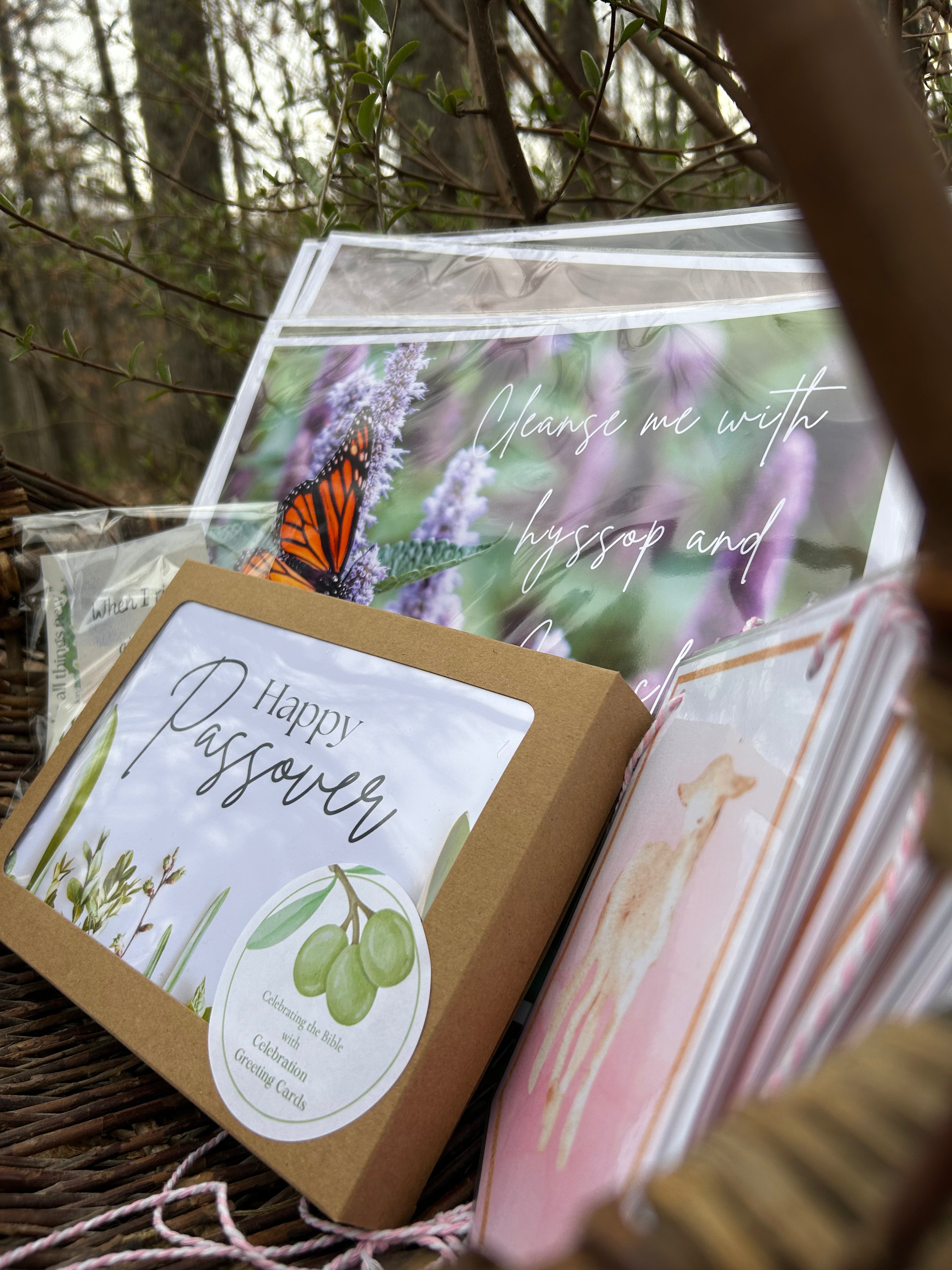 Celebrate Passover Bundle "Passover Lamb"