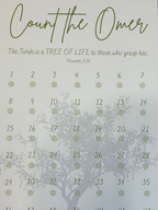 Omer Counter "Olive Branch"