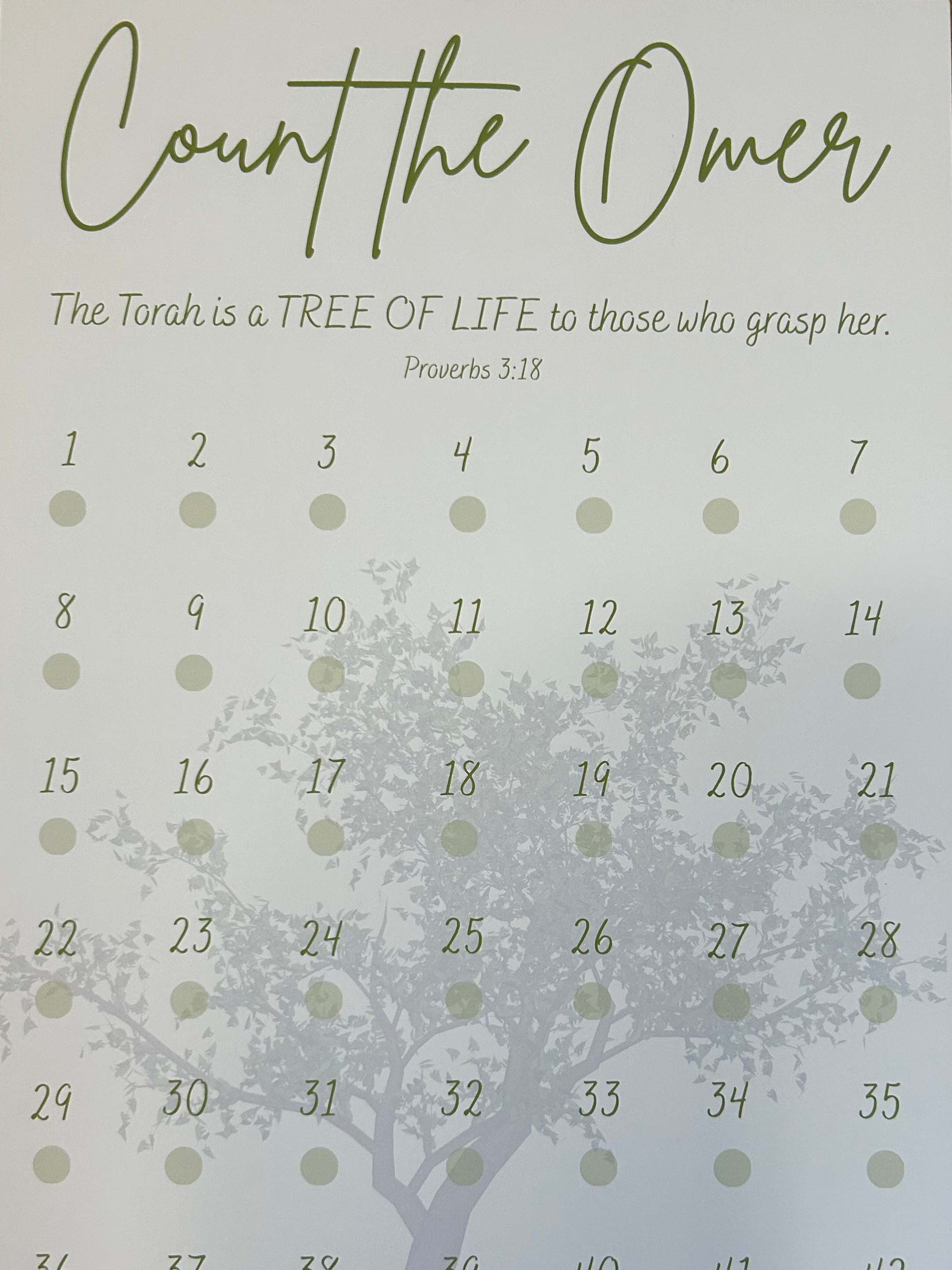 Omer Counter "Olive Branch"