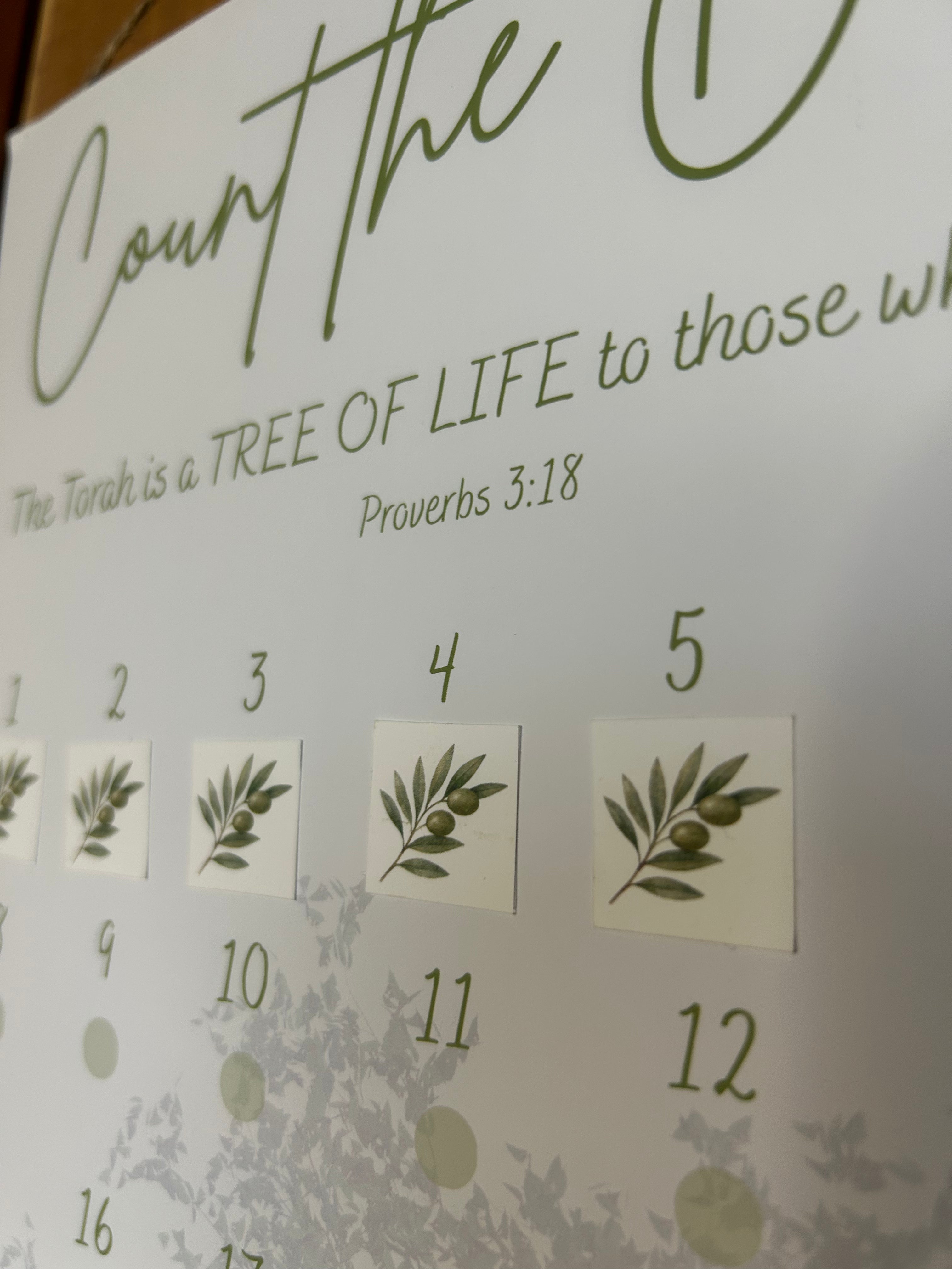 Omer Counter "Olive Branch"