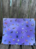 "Horses of Courage" Women In Scripture Bundle with Stickers