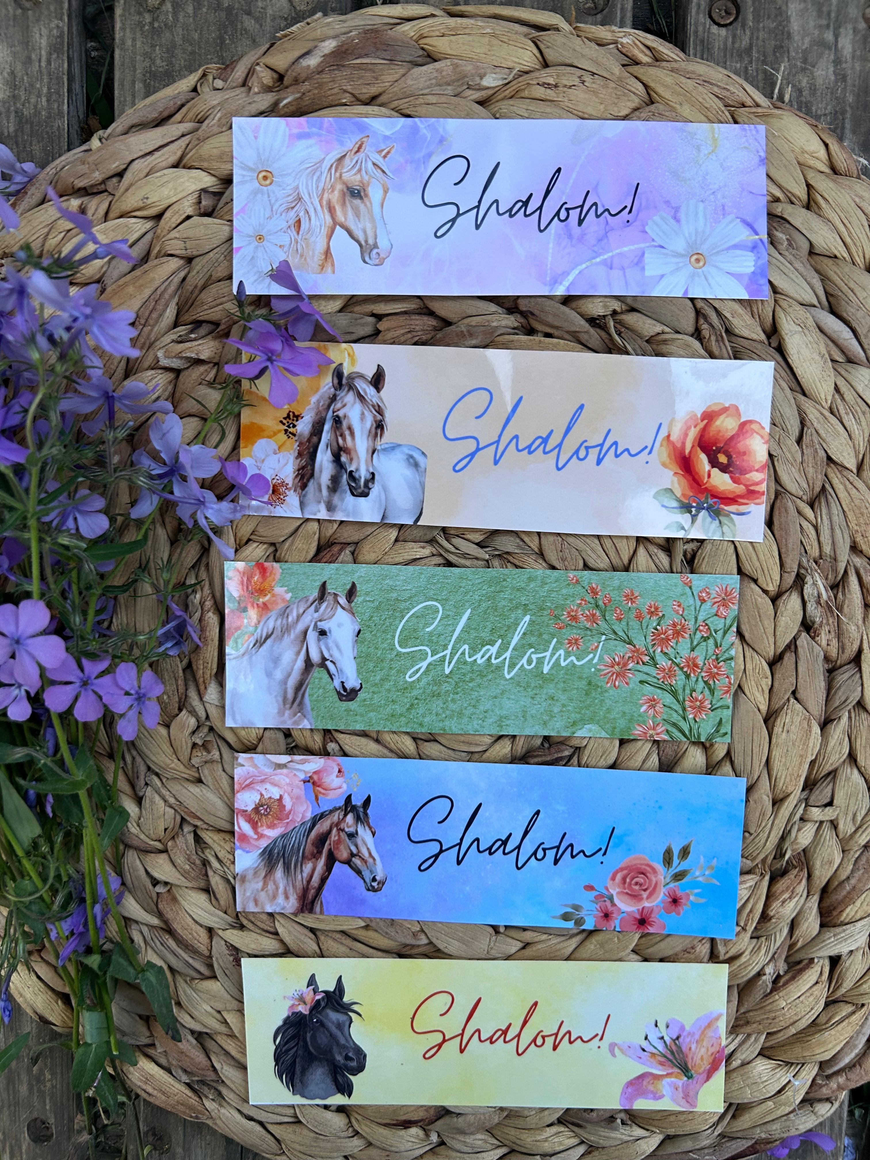 "Horses of Courage" Women In Scripture Bundle with Stickers