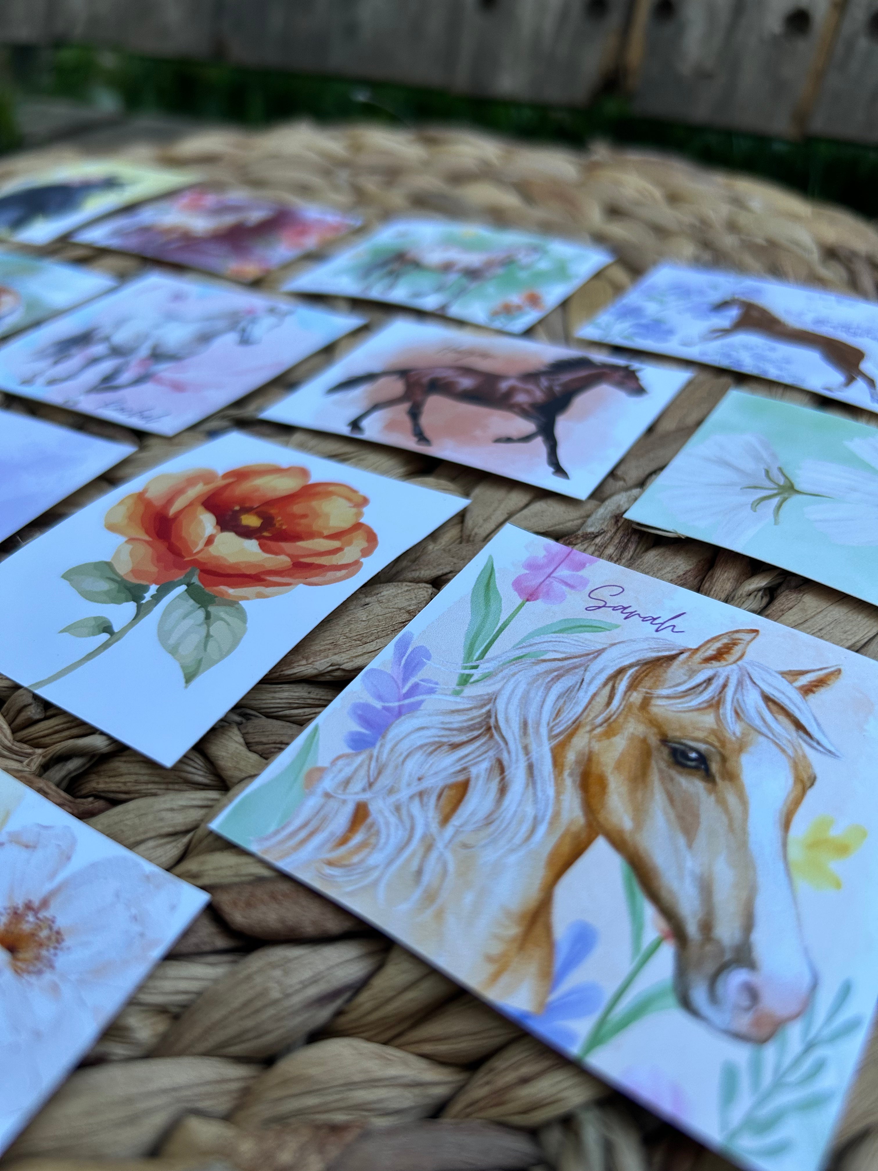 "Horses of Courage" Women In Scripture Bundle with Stickers
