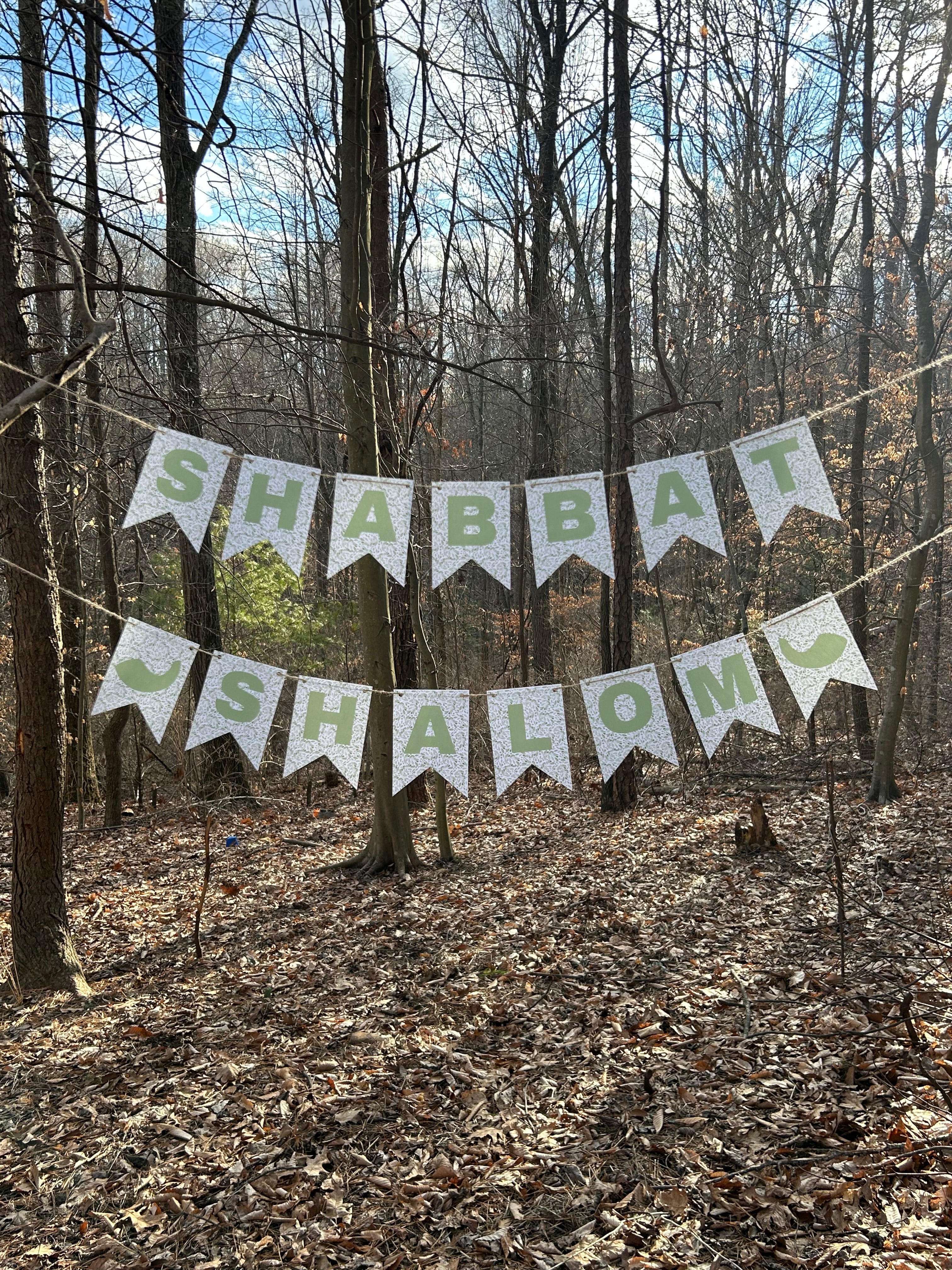 "Shabbat Shalom" Sabbath Greenery Bunting Banner