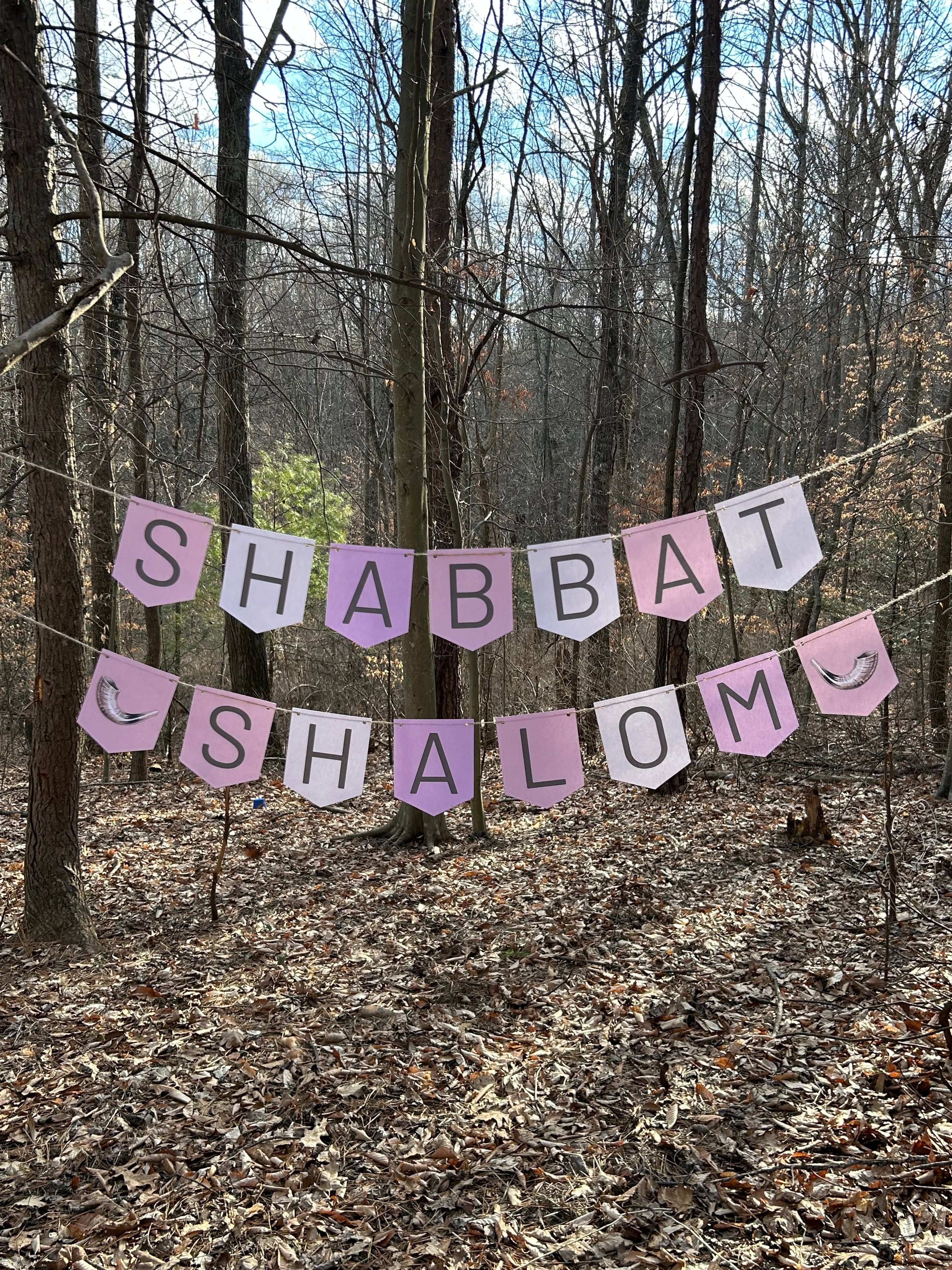 "Shabbat Shalom" Sabbath Pink Cream Bunting Banner
