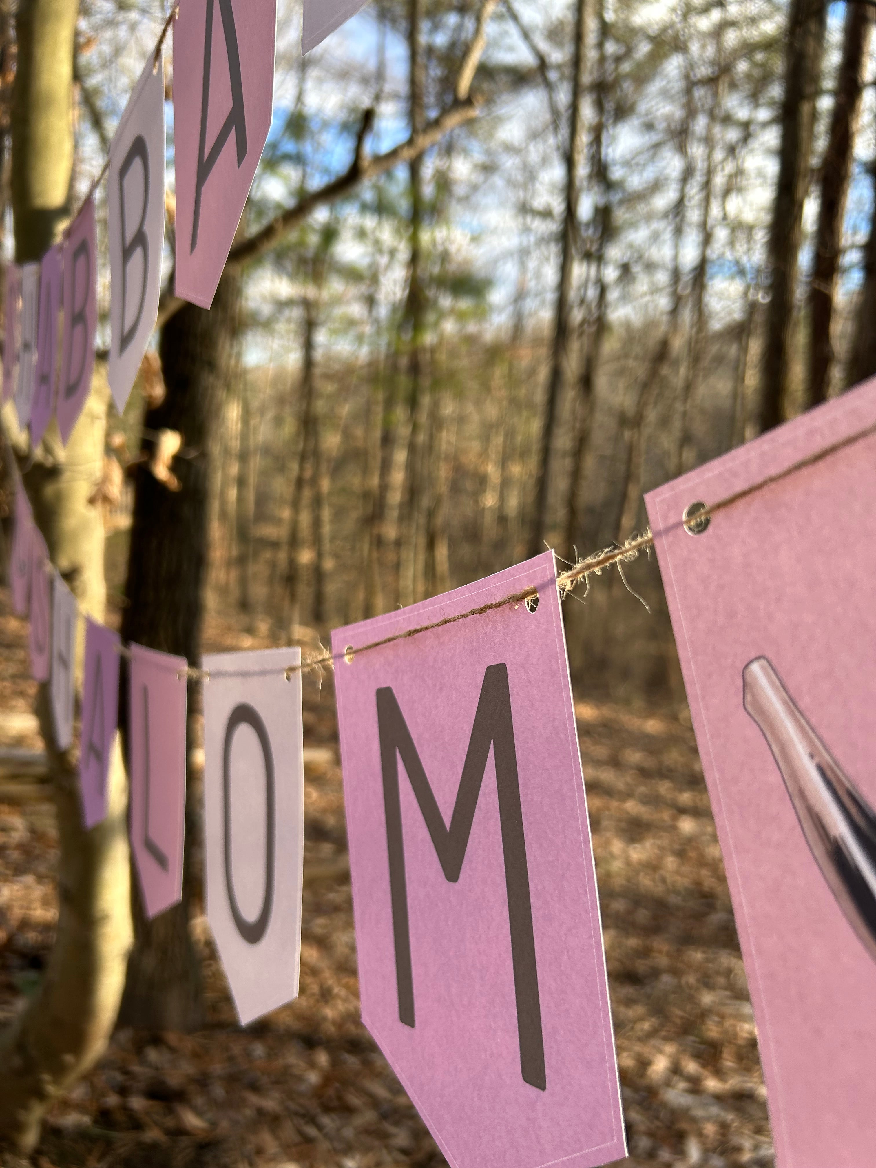 "Shabbat Shalom" Sabbath Pink Cream Bunting Banner