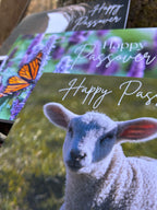 Celebrate Passover Bundle "Passover Lamb"