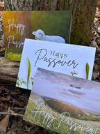 Celebrate Passover Bundle "Passover Lamb"