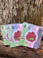 Passover Foldable Craft for Children (Set of 4)