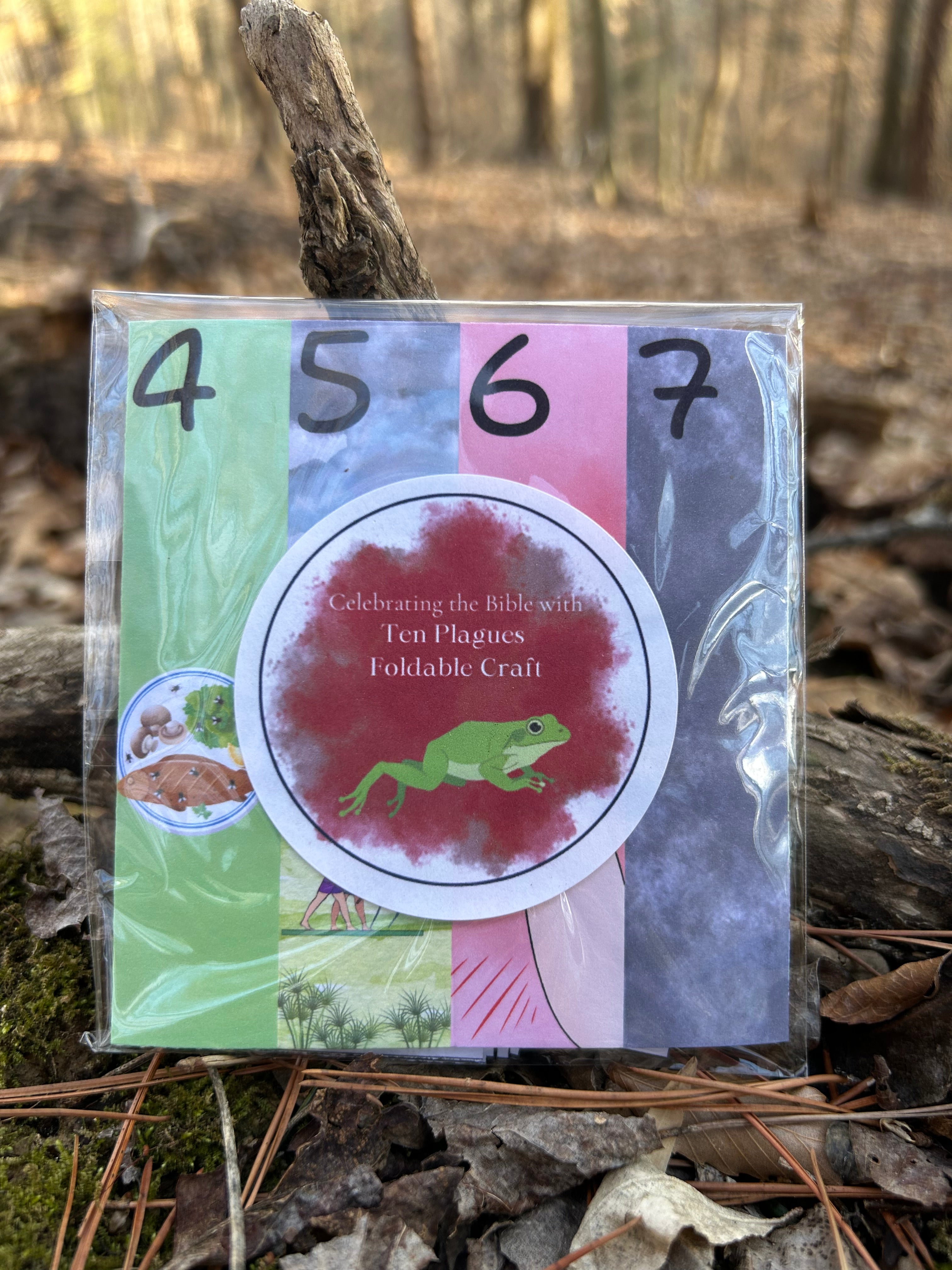 Celebrate Passover Whole Family Bundle Classic