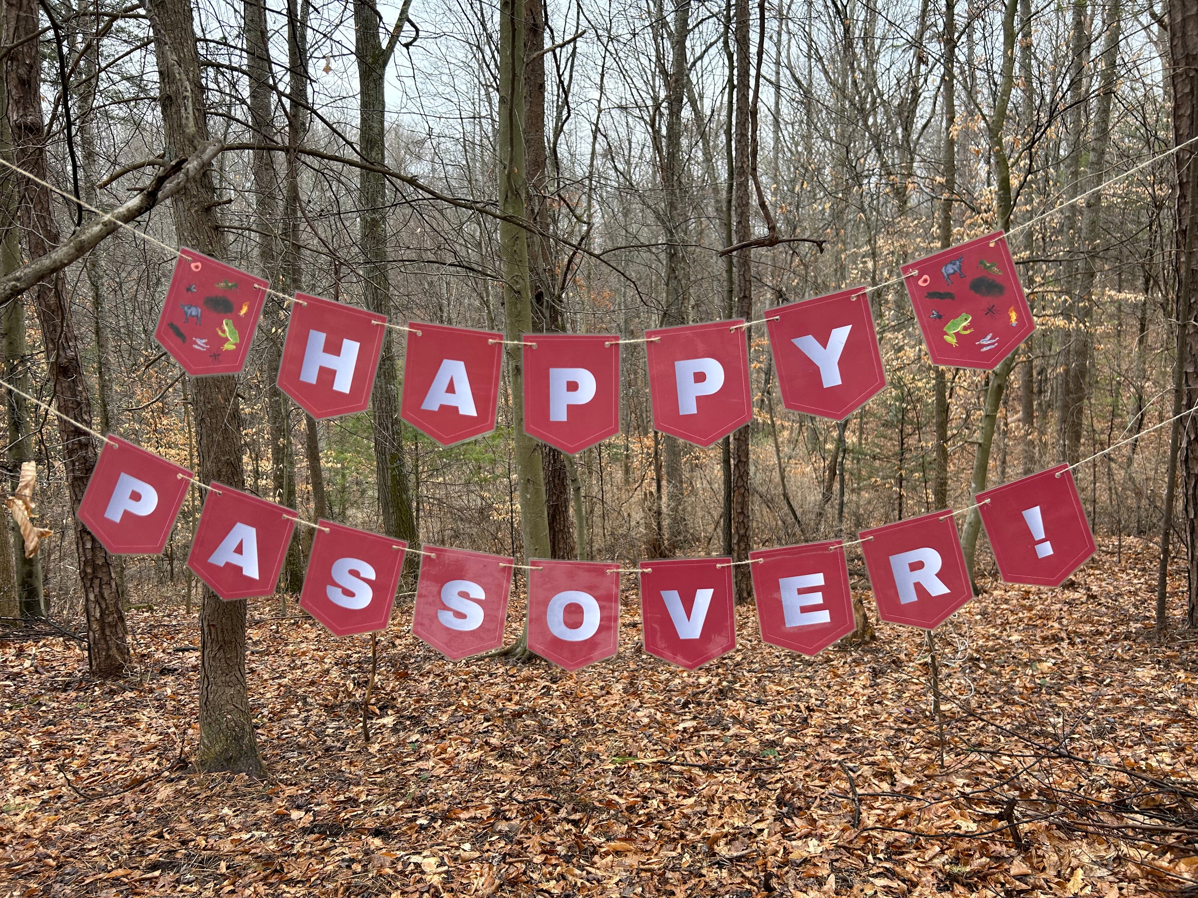 "Happy Passover" Classic Ten Plagues Red Bunting Banner