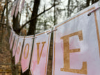 "Happy Passover" Pink Marble Glitter Lamb Bunting Banner