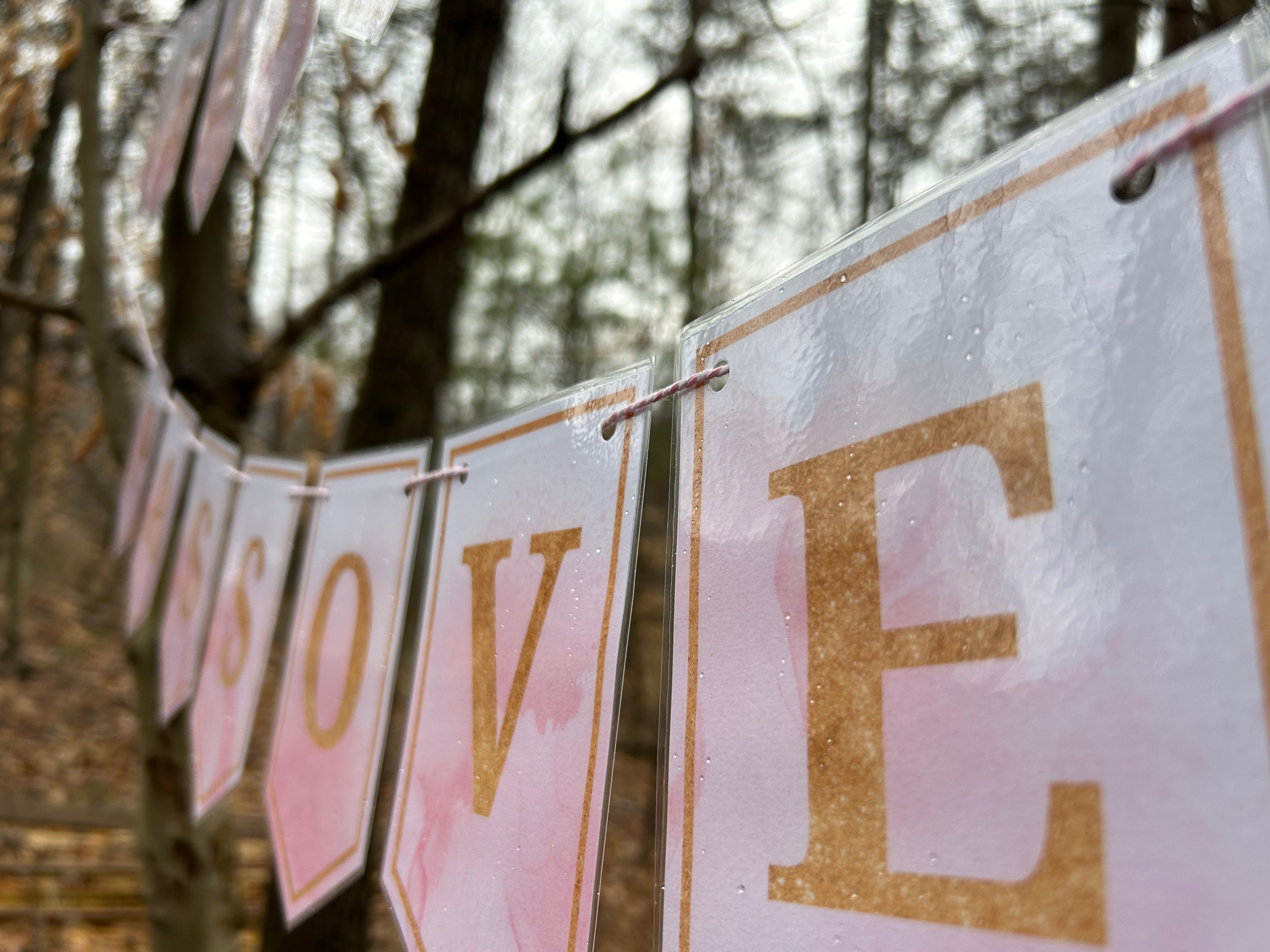 "Happy Passover" Pink Marble Glitter Lamb Bunting Banner