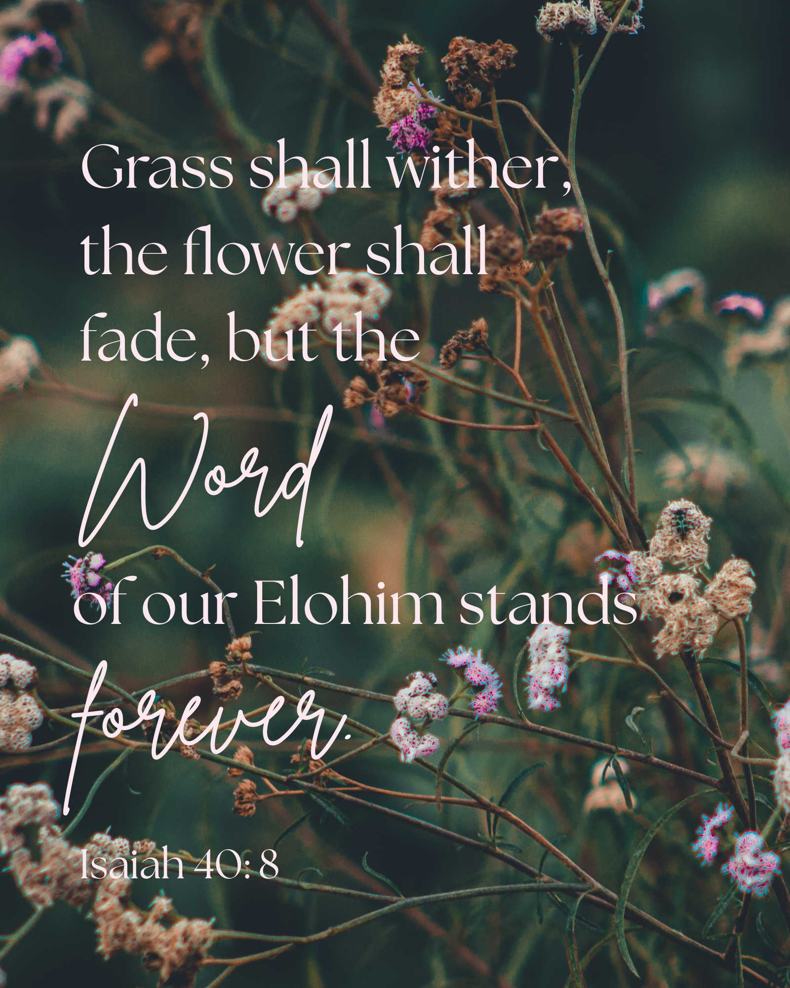 “The Word Stands Forever” Fine Art Print