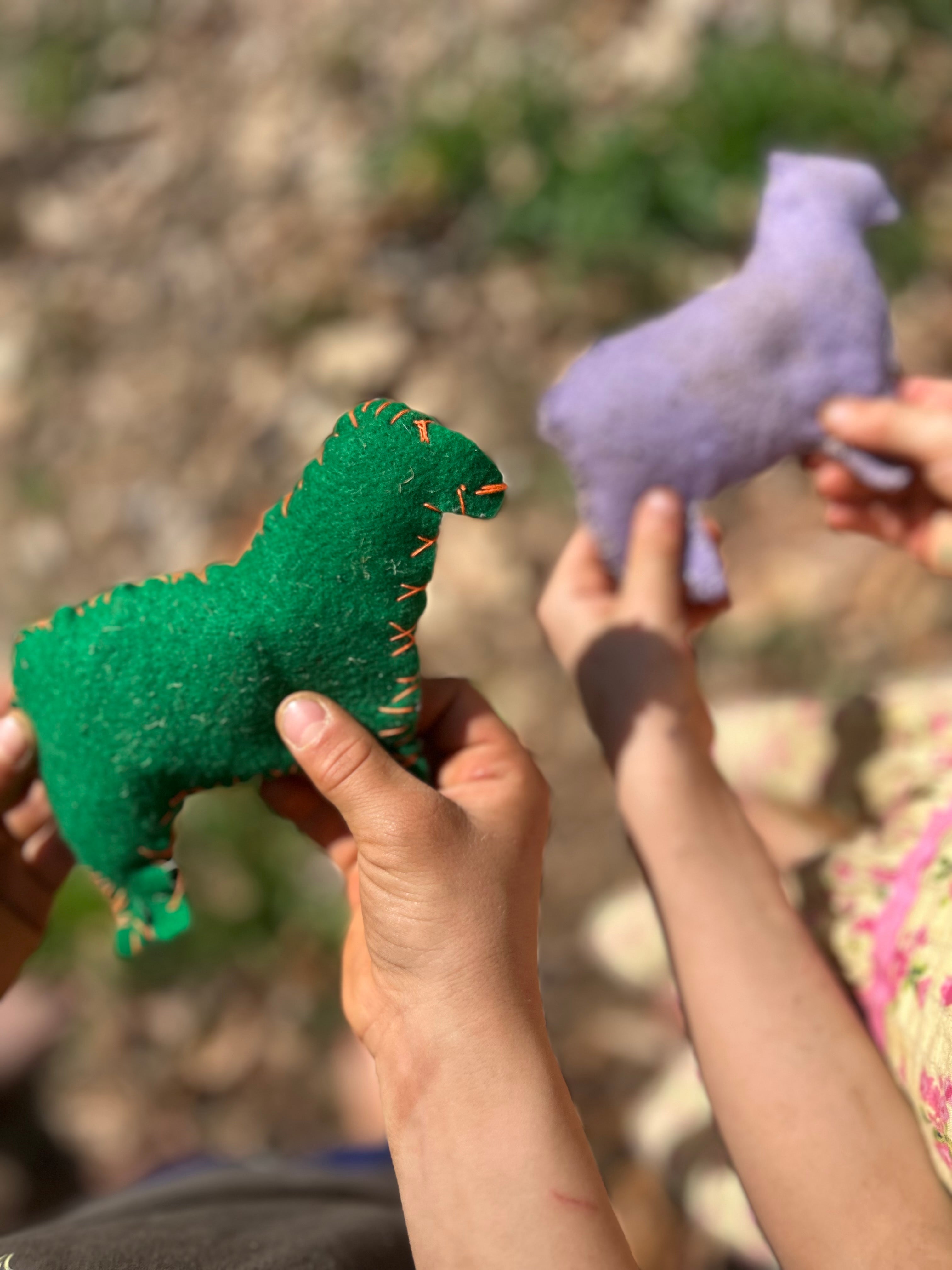 Whole Family Messianic Passover Curriculum