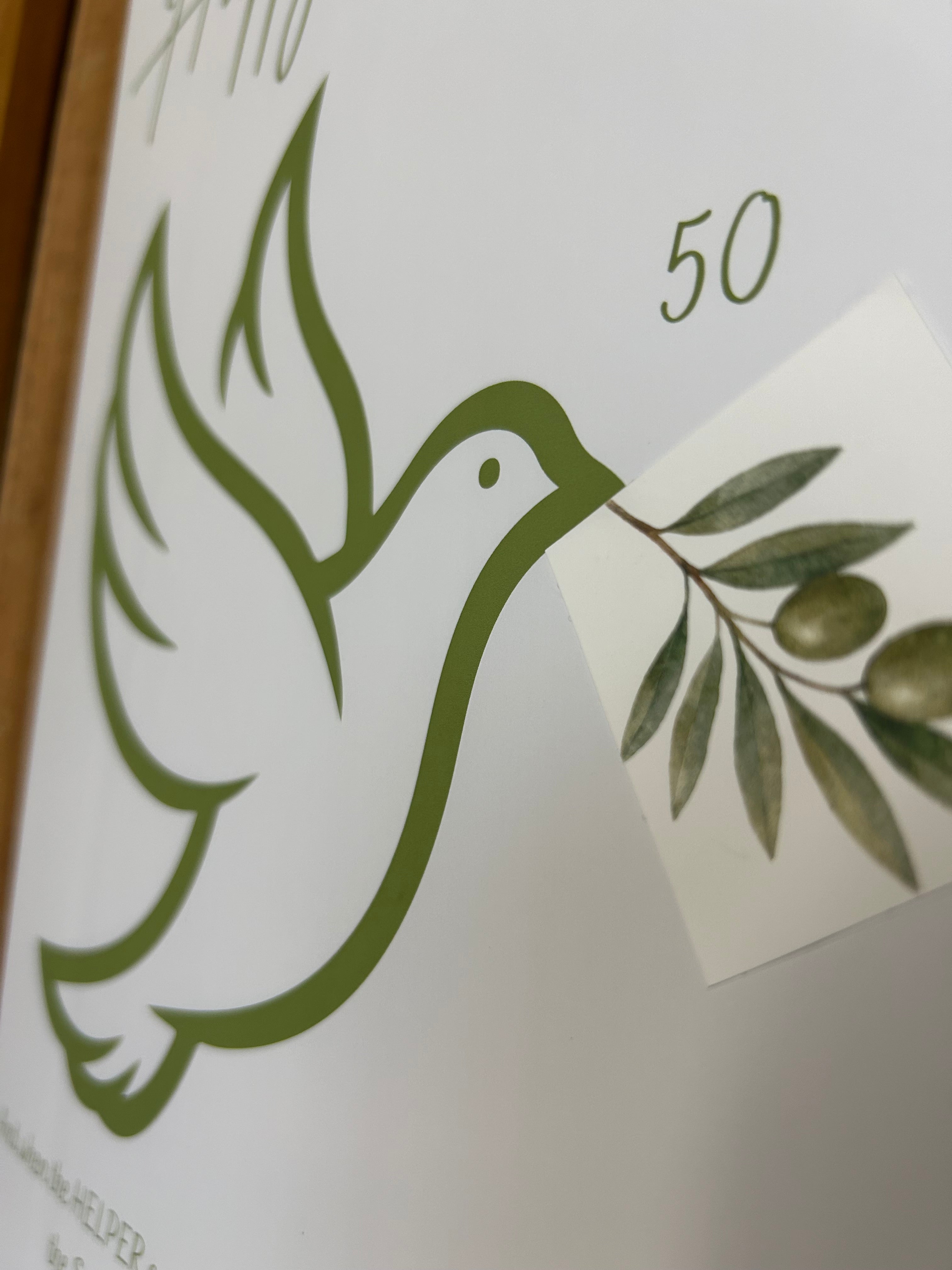 Omer Counter "Olive Branch"