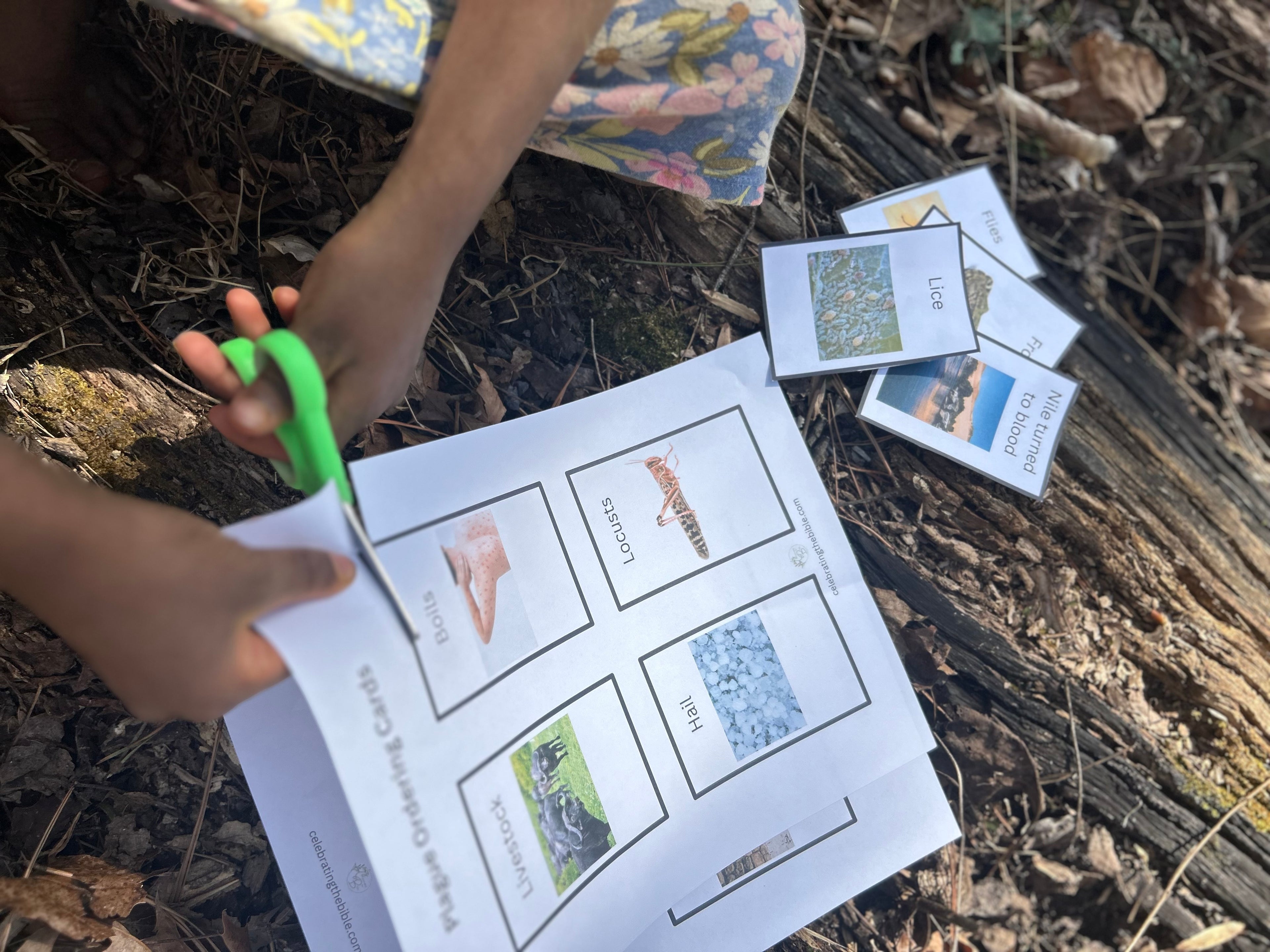 Whole Family Messianic Passover Curriculum